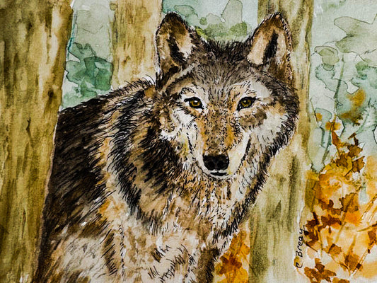 Wolf in Woods Fine Art Mini Reproduction